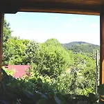 ирена * Radevtsi