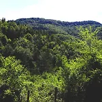 ирена بيت ضيافة Radevtsi