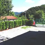 ирена Radevtsi
