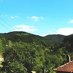 ирена