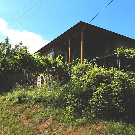 Pensión ирена Radevtsi