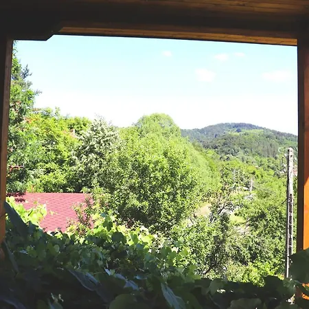 ирена * Radevtsi