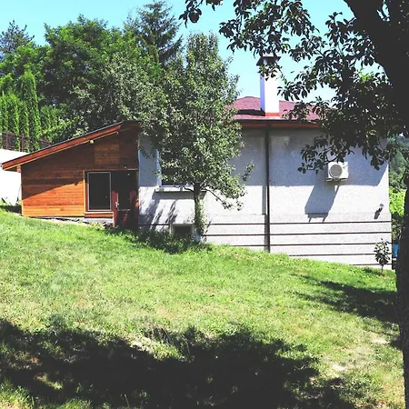 ирена