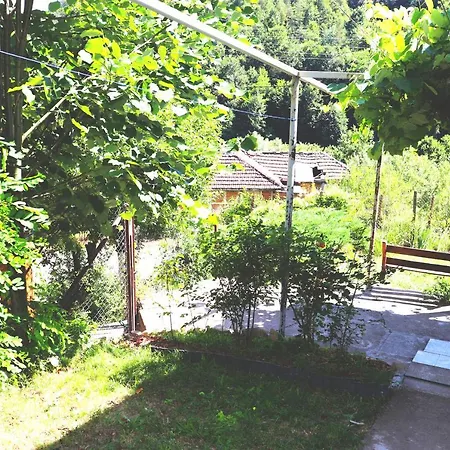 ирена Radevtsi