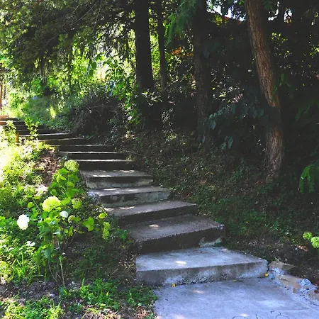 ирена * Radevtsi