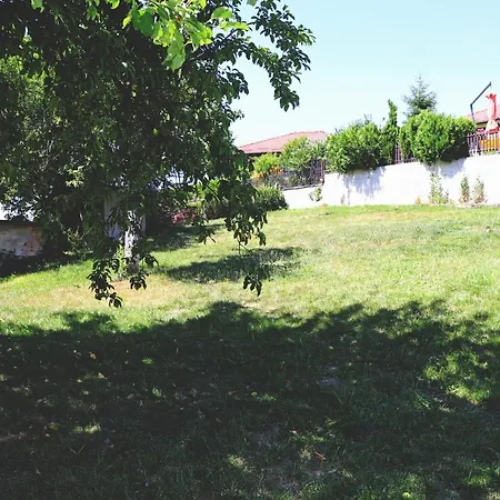 ирена *