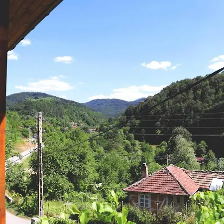 ирена Πανσιόν Radevtsi