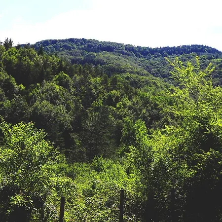 ирена Pensión Radevtsi