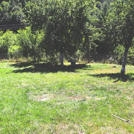 Πανσιόν ирена *