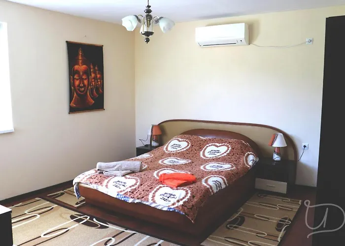 ирена 招待所 *