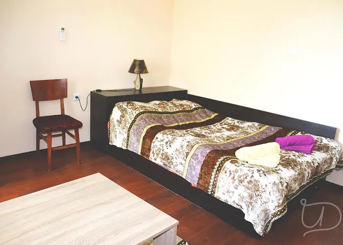 ирена 招待所 *