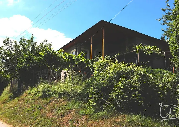 招待所 ирена Radevtsi