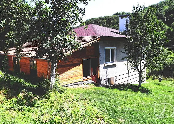 招待所 ирена *