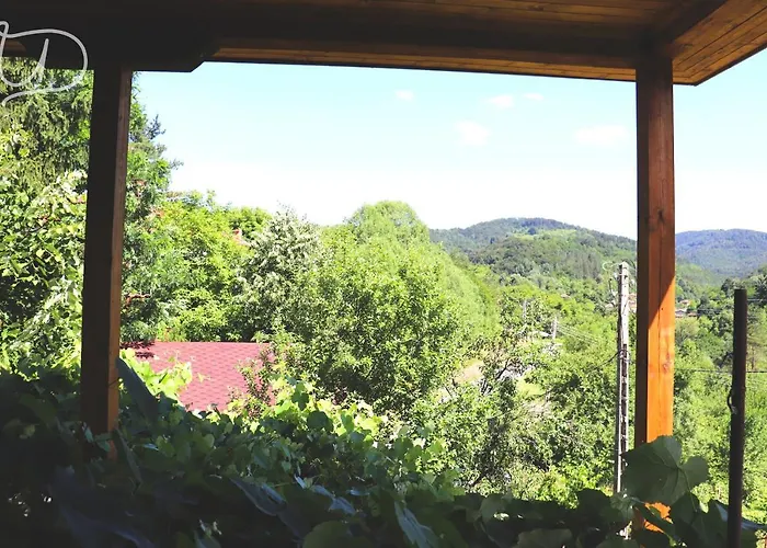 ирена * Radevtsi