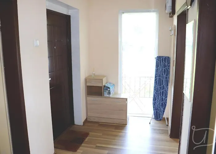 ирена 招待所