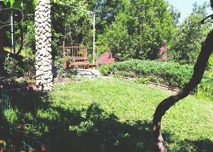 招待所 ирена *