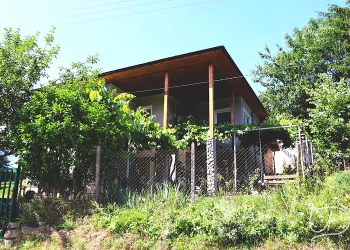 ирена 招待所