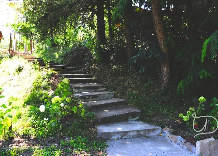 ирена * Radevtsi