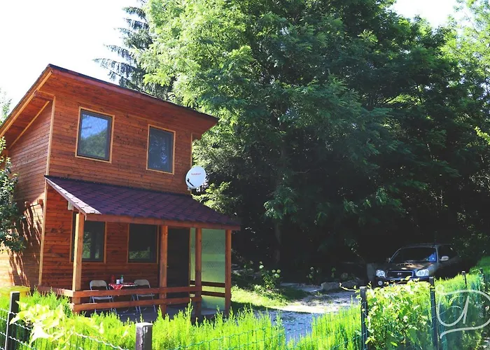 招待所 ирена