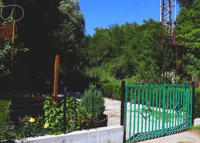 ирена 招待所 *