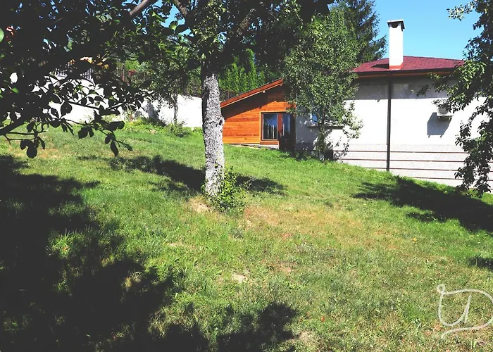 ирена 招待所