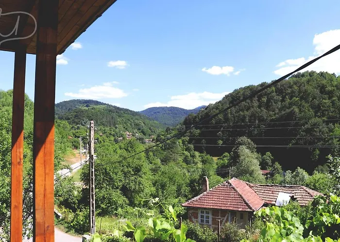 ирена 招待所 Radevtsi