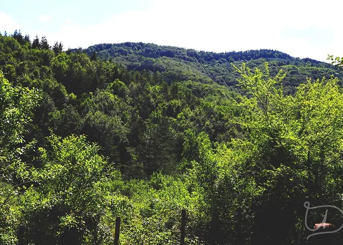 ирена 招待所 Radevtsi