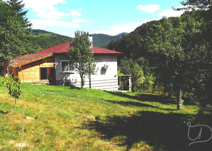 ирена 招待所 *