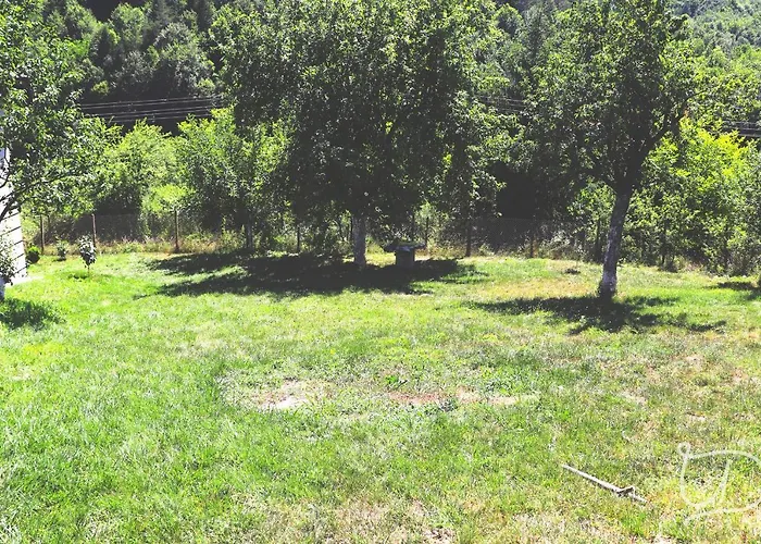 招待所 ирена *